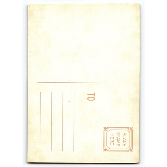 Vintage Halloween Postcard Cute Girl Witch with Jack-o'-Lanterns & Cat - Picture 2 of 2